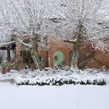 Tenuta Il Pino *