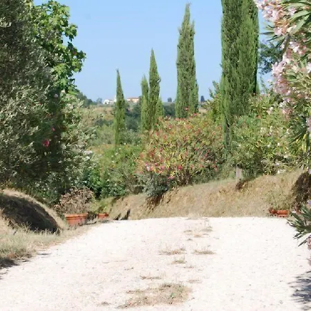 Tenuta Il Pino 카파놀리