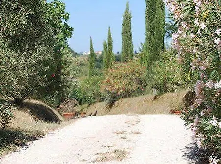 Tenuta Il Pino * Капанноли