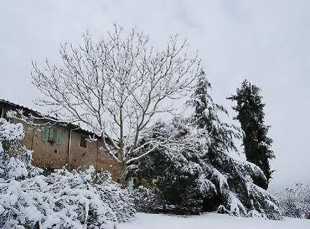 Farm stay Tenuta Il Pino *