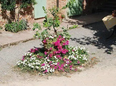 Farm stay Tenuta Il Pino *