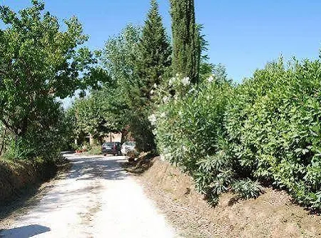 Tenuta Il Pino *